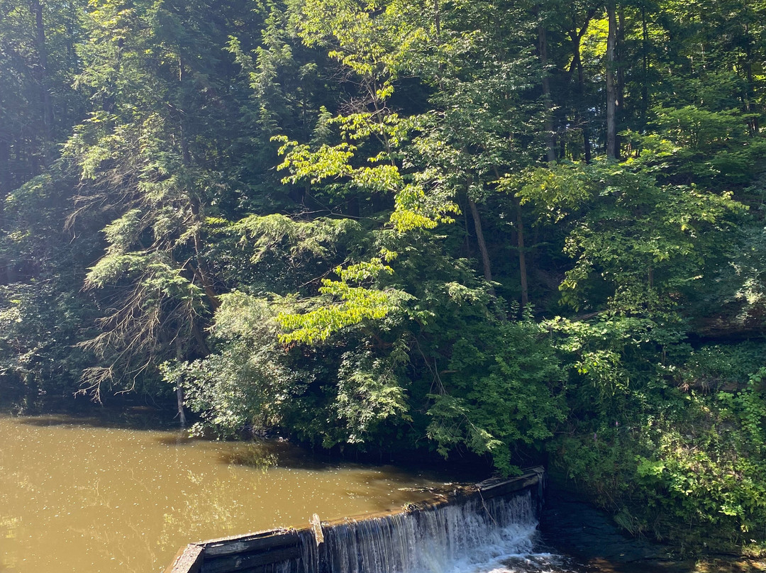 Lanterman's Mill-扬斯敦必去景点
