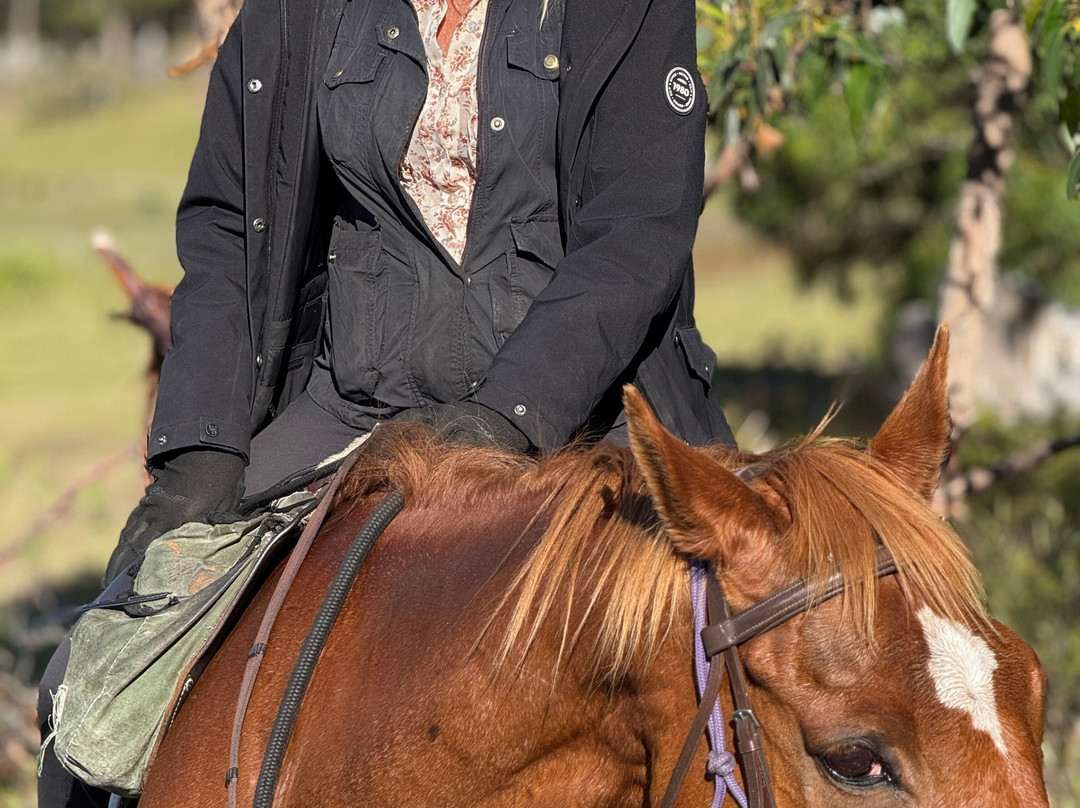 Horse Riding Tasmania景点图片