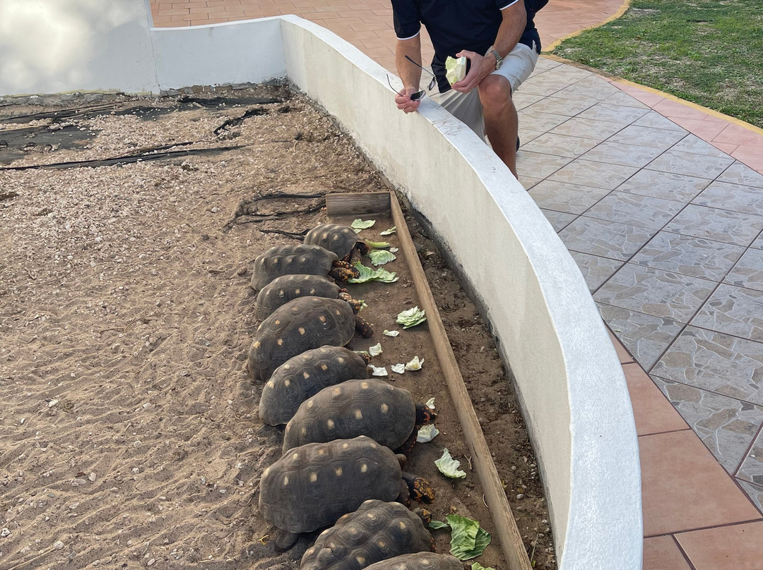 Turtle's Nest Beach Resort主图