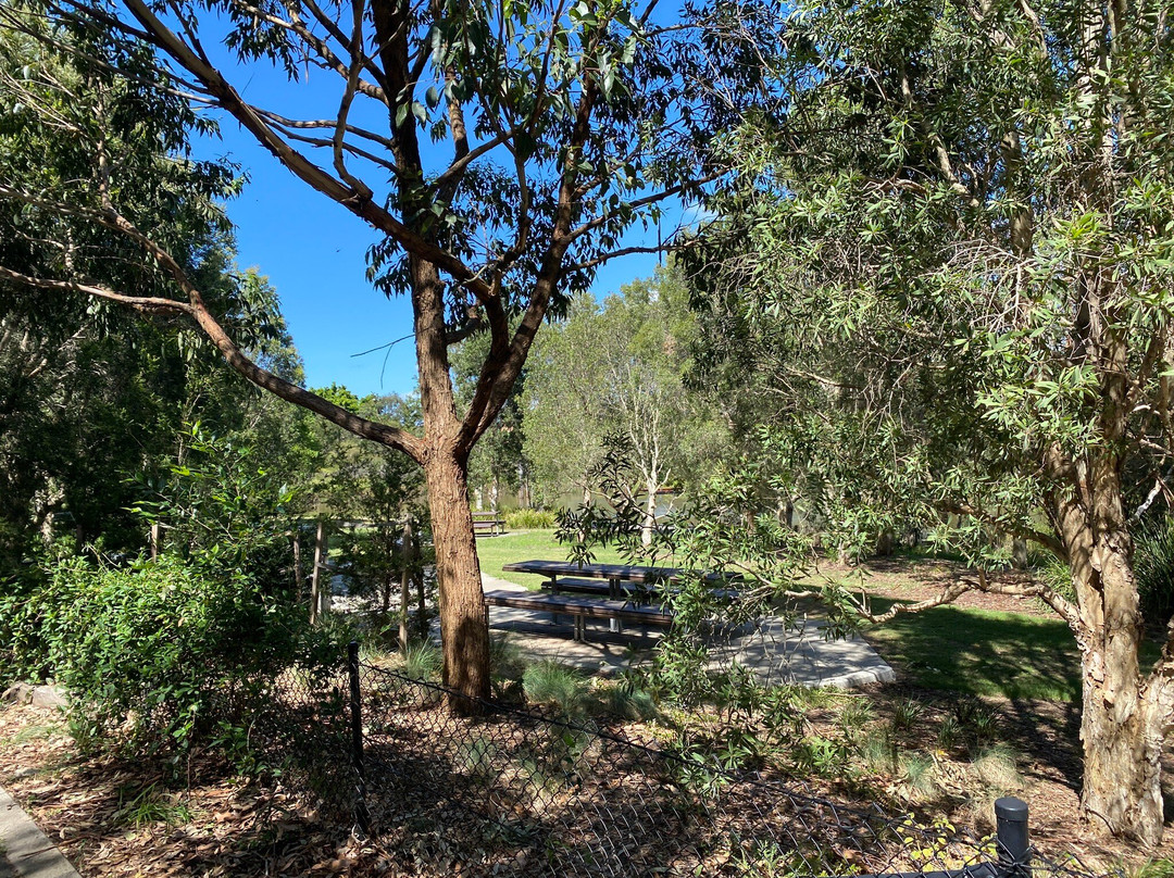 Sydney Park Picnic Tables-Alexandria必去景点