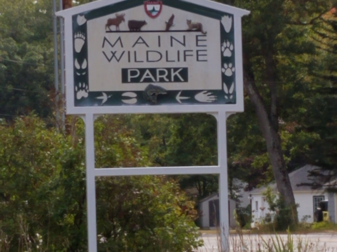 Maine Wildlife Park景点图片