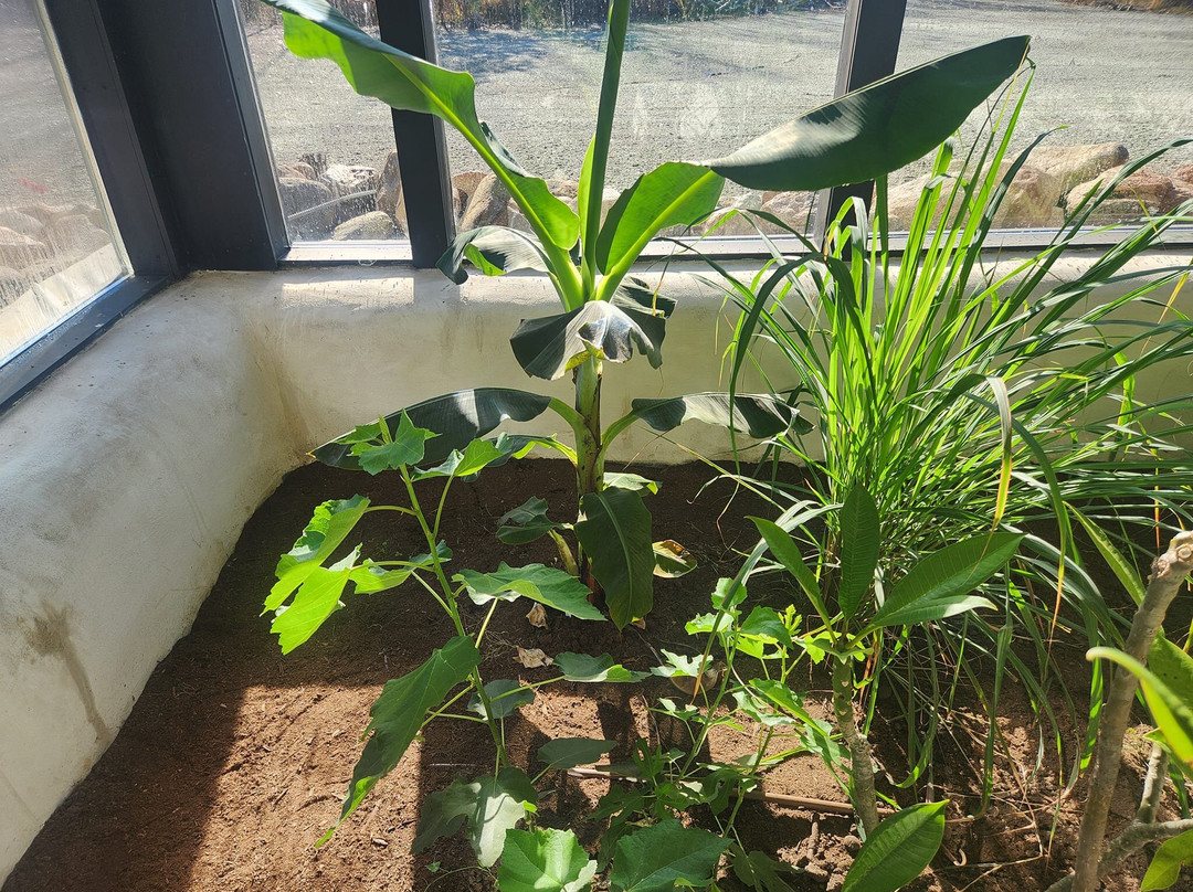 Earthship Gozadera-Sartell必去景点