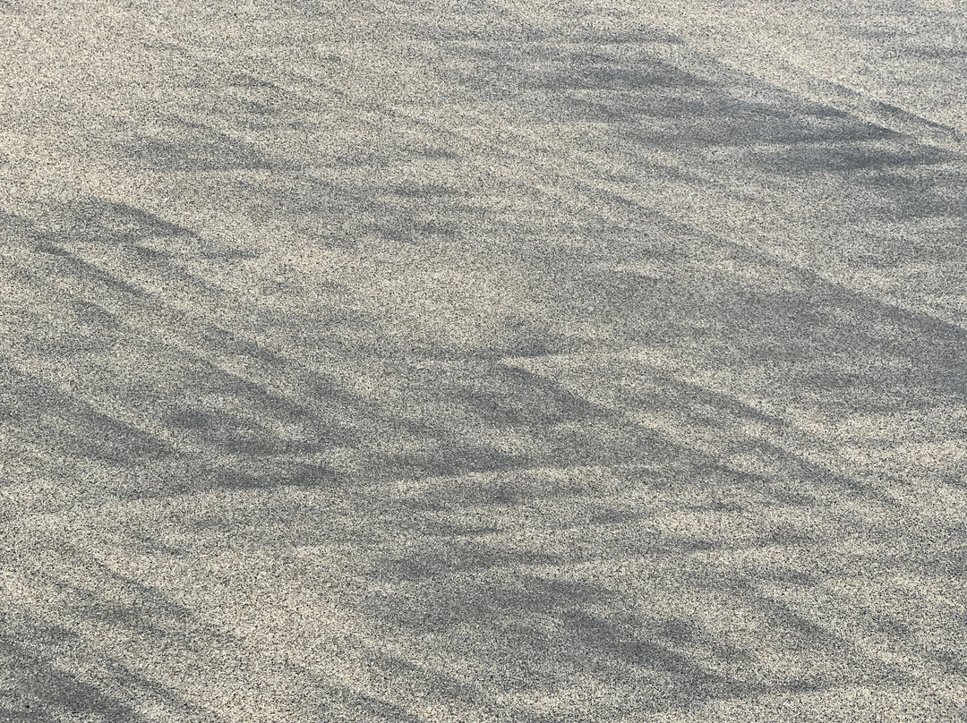 Wharariki Beach景点图片