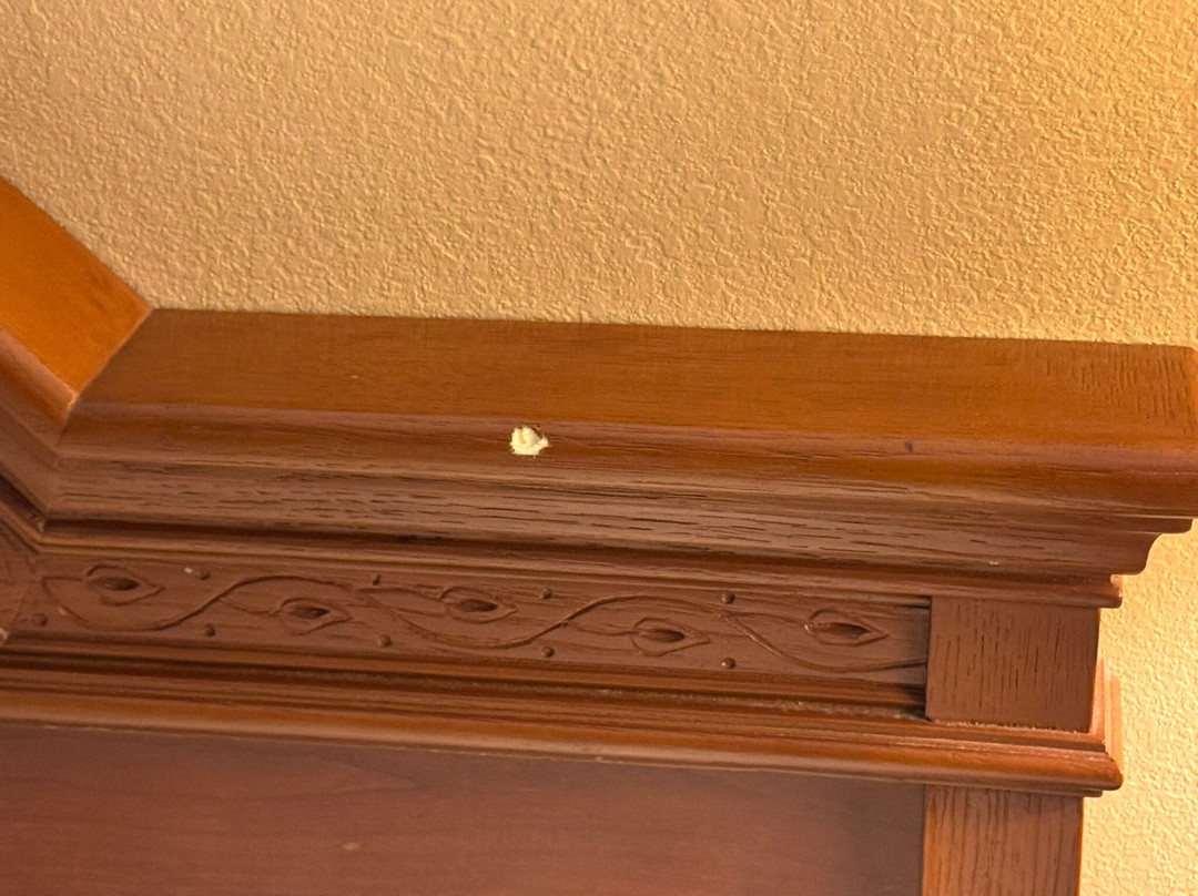 夏洛特派恩维尔希尔顿花园旅馆主图