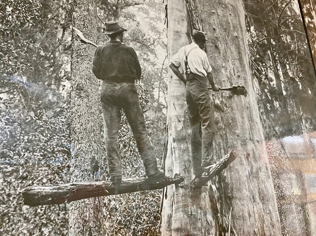 Gilgandra Rural Museum-Gilgandra必去景点