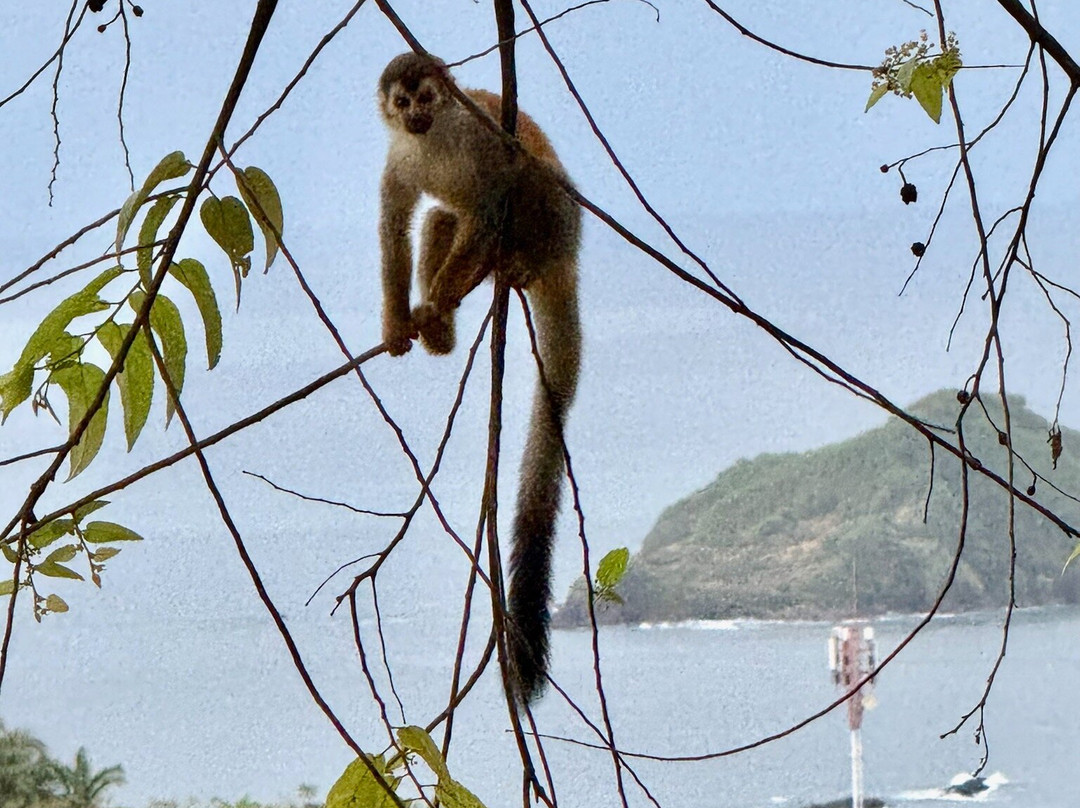 Costa Rica Experts景点图片