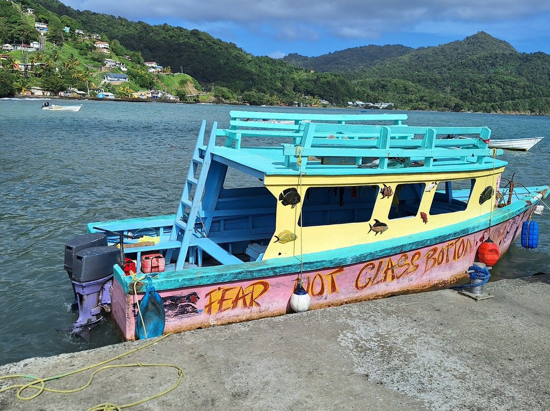 Little Tobago-Northeast Coast必去景点