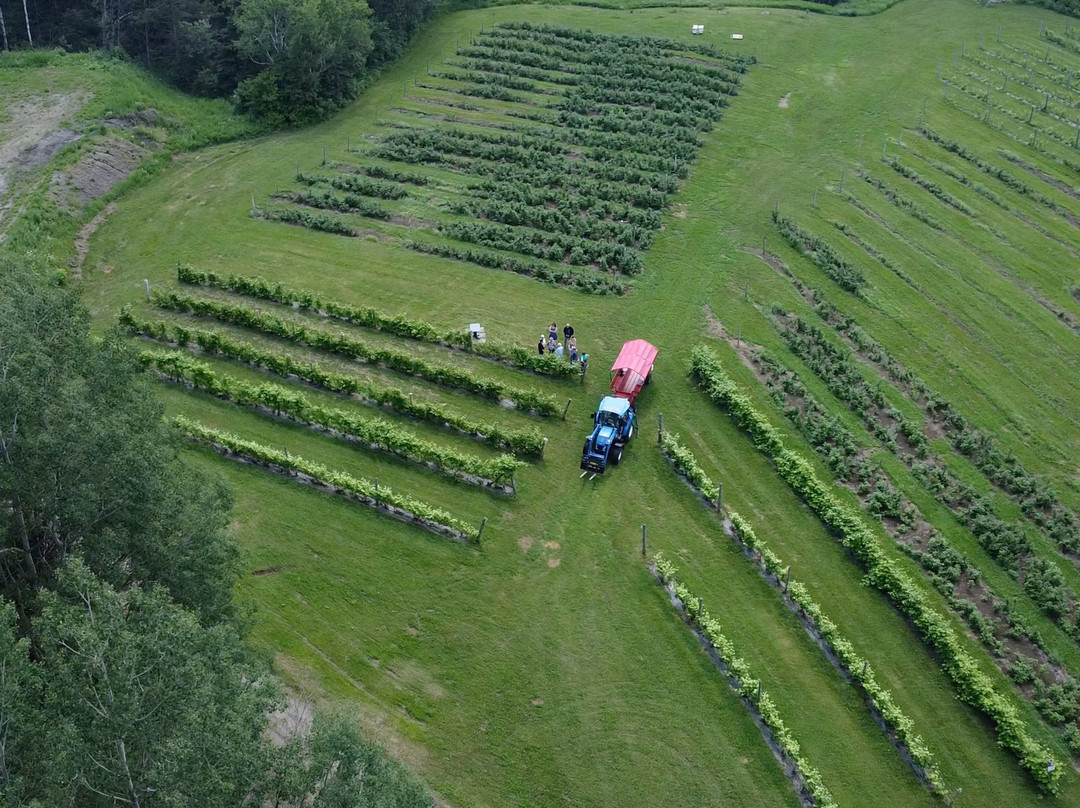 Domaine Le Cageot - Vignoble & Distillerie-Jonquiere必去景点