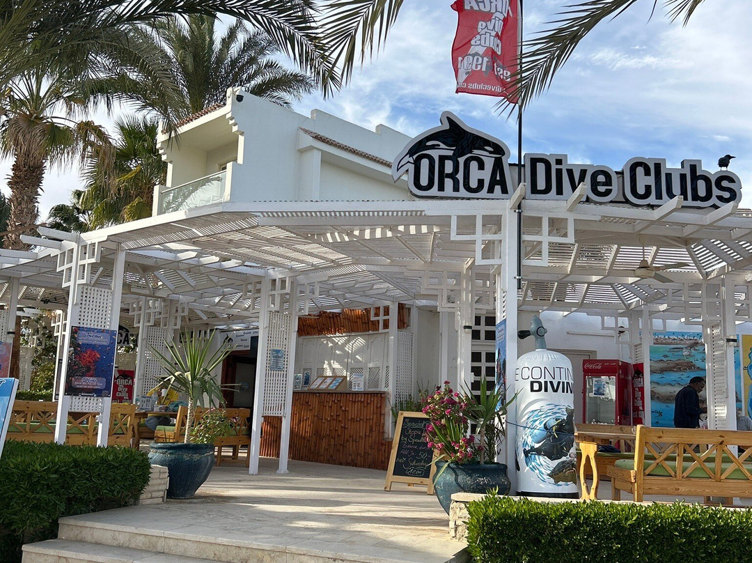 Orca Dive Club Safaga-Safaga必去景点