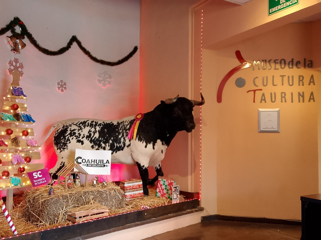 Museo de la Cultura Taurina-萨尔蒂必去景点