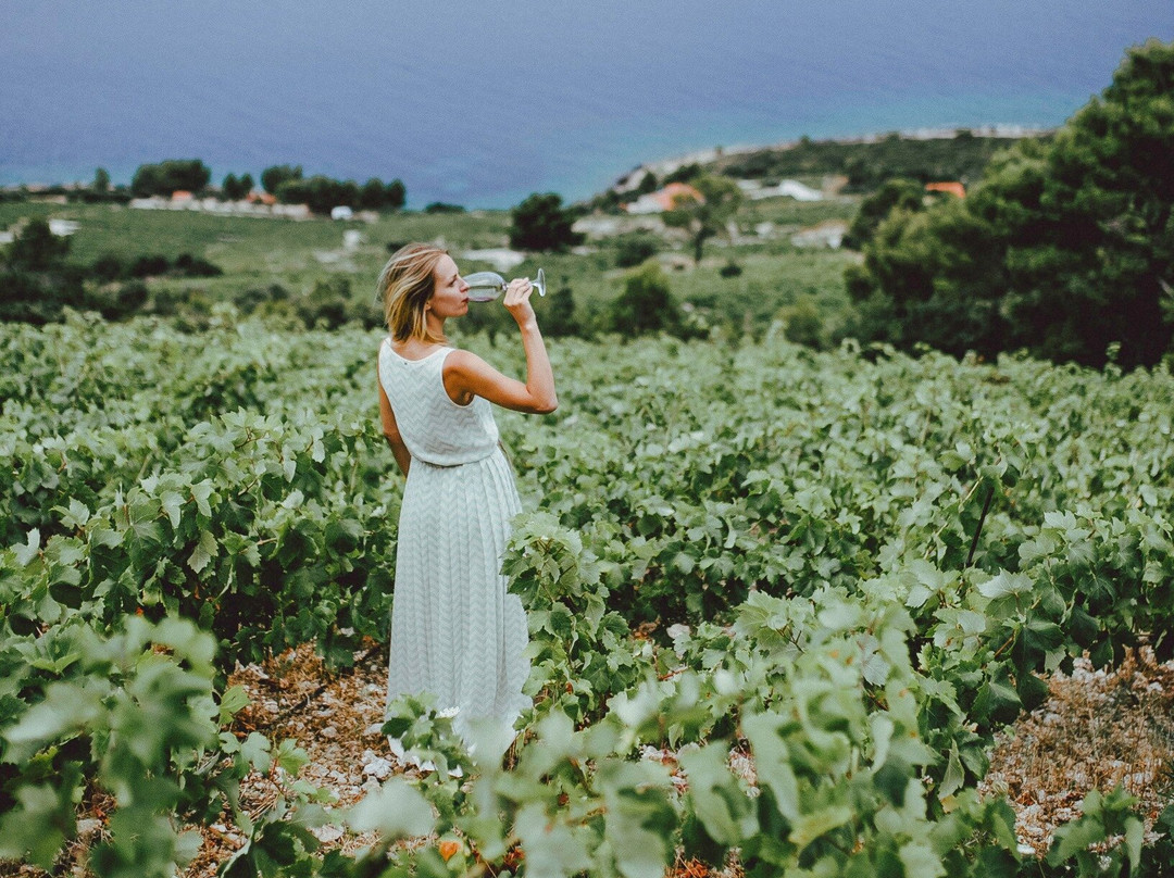 Boutique Winery Vicelić-Pijavicino必去景点