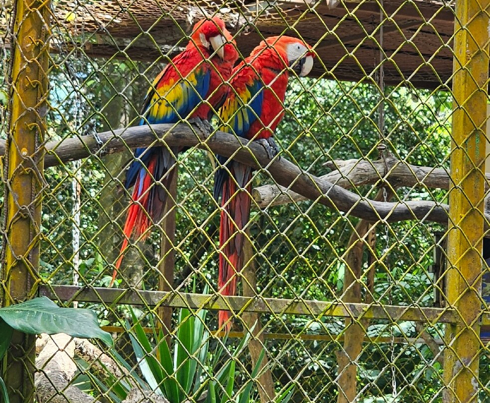 Alturas Wildlife Sanctuary-主日镇必去景点