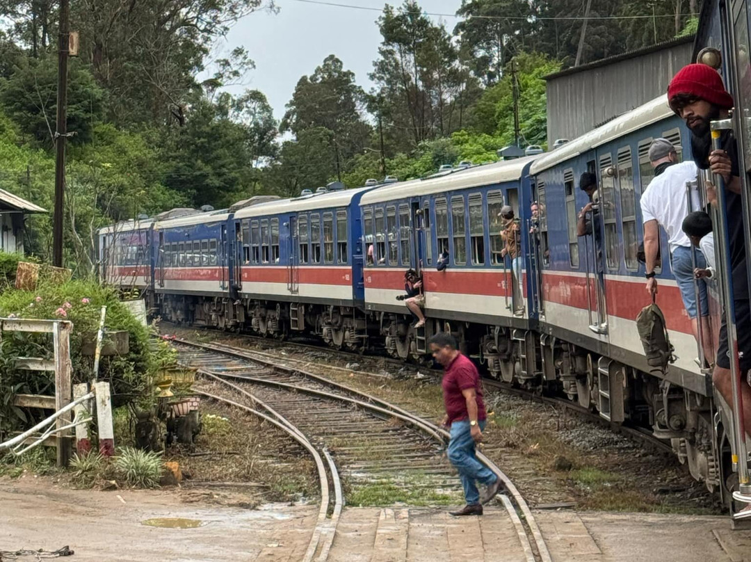 Sri Lanka Tour with Sujeewa景点图片