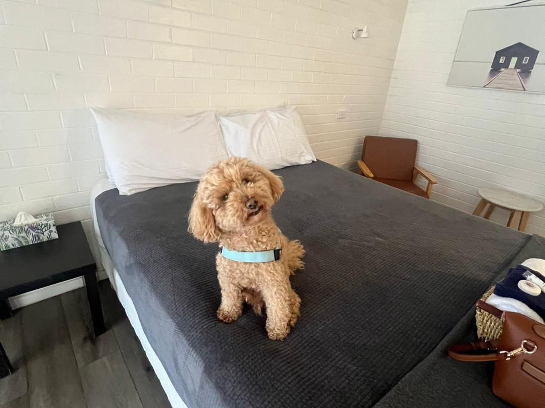 Jetty Motel The Entrance主图