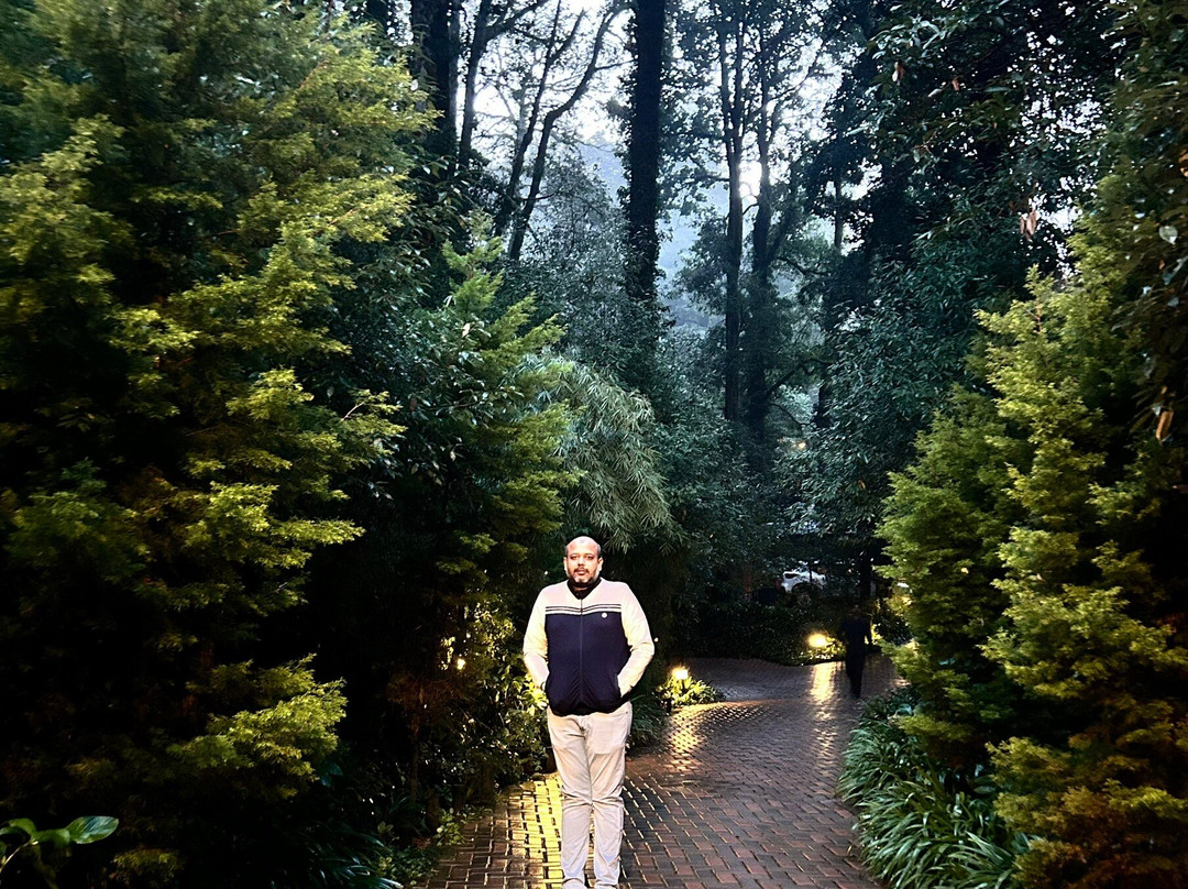 Ayar Jungle Resort主图