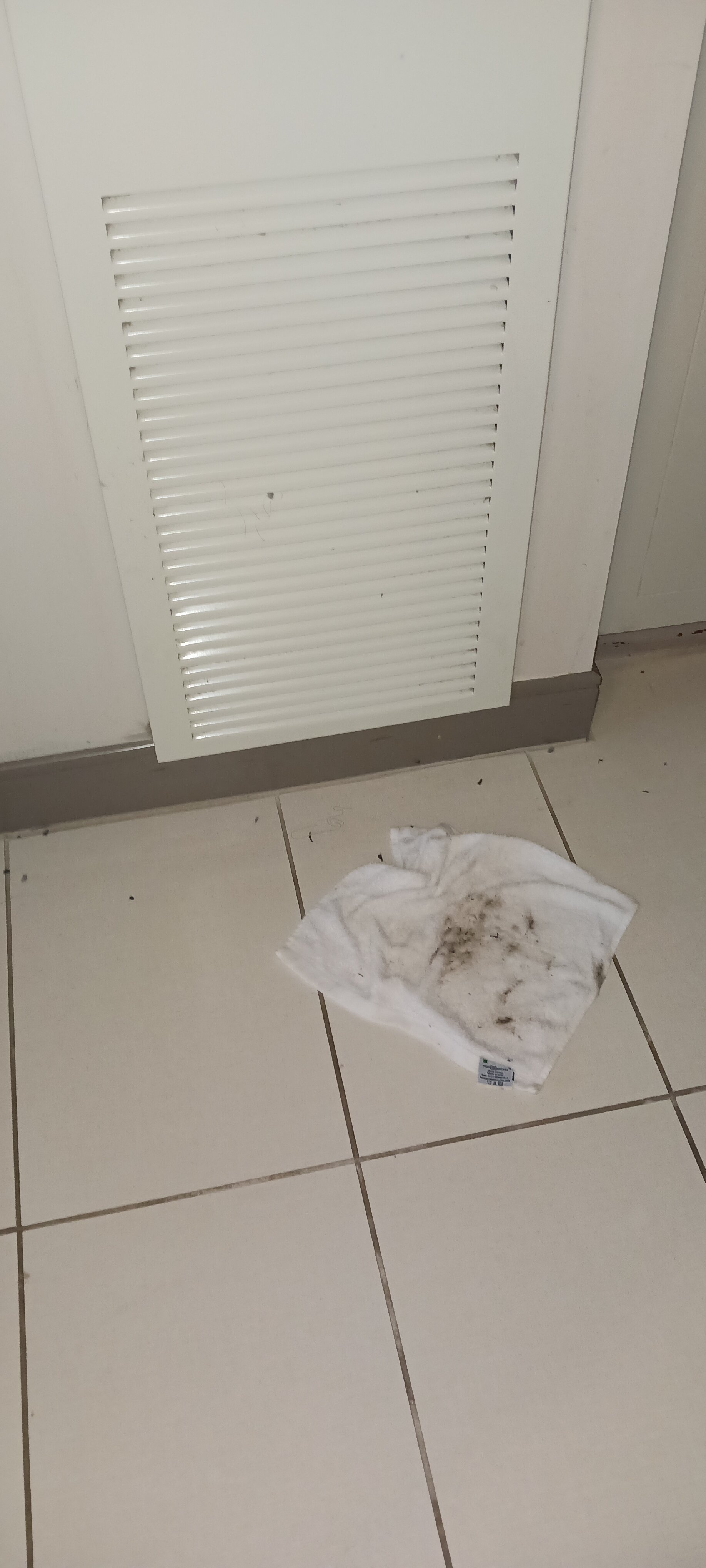 Embassy Suites By Hilton Atlanta Ne - Gwinnett Sugarloaf-客卧