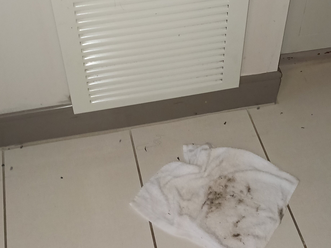 Embassy Suites By Hilton Atlanta Ne - Gwinnett Sugarloaf主图