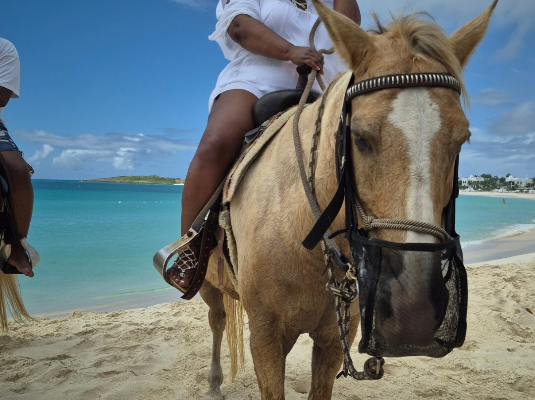 Seaside Stables Anguilla-West End Village必去景点