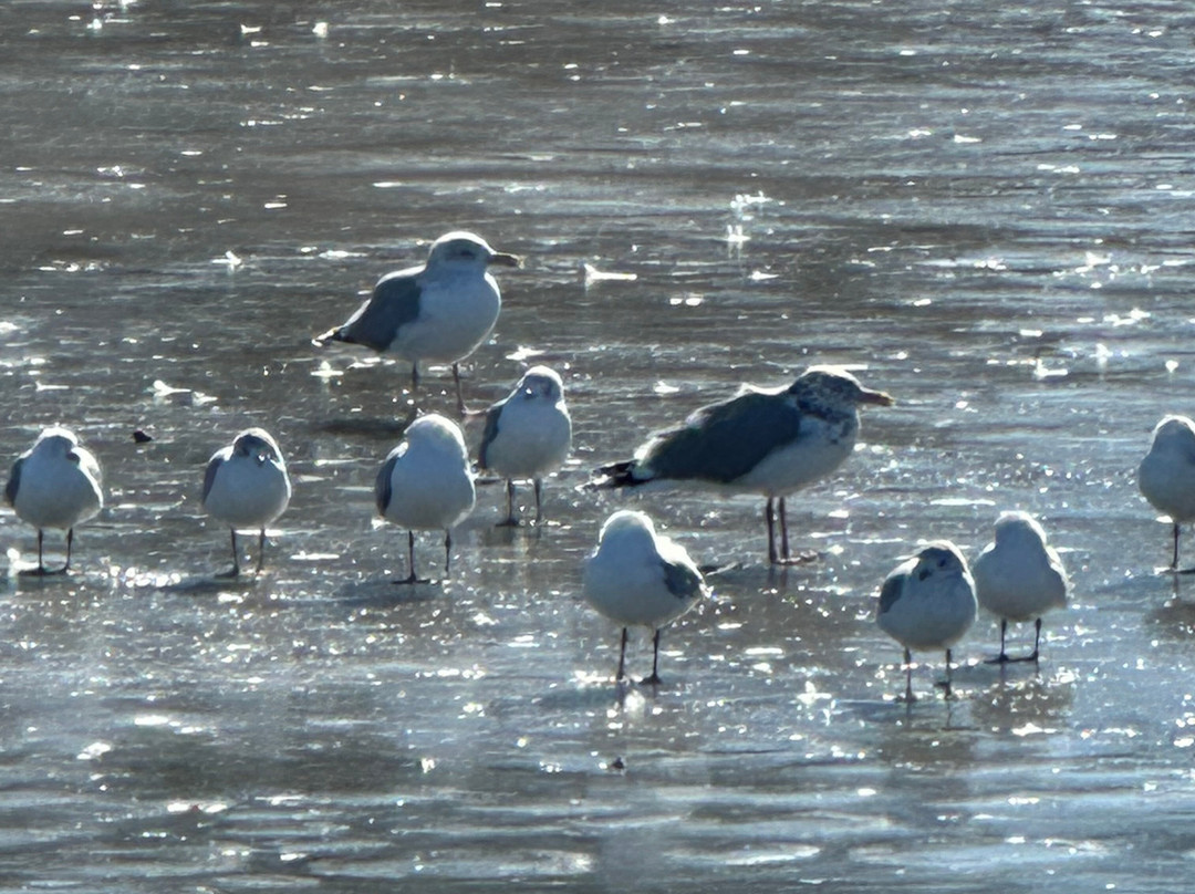 Donaldson Park-Highland Park必去景点
