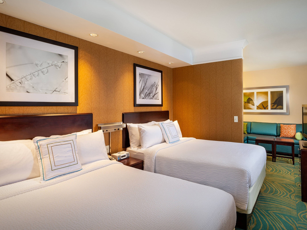 莫德斯托酒店住宿-SpringHill Suites by Marriott Modesto