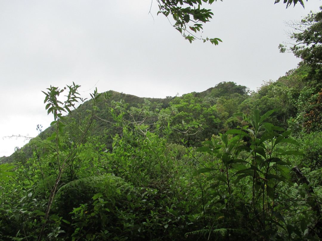 La Piedra Pintada景点图片