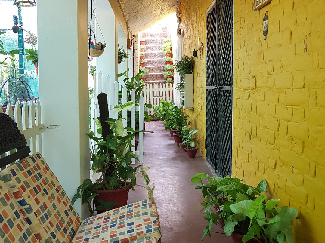 Koko's Farm-拉克瑙必去景点