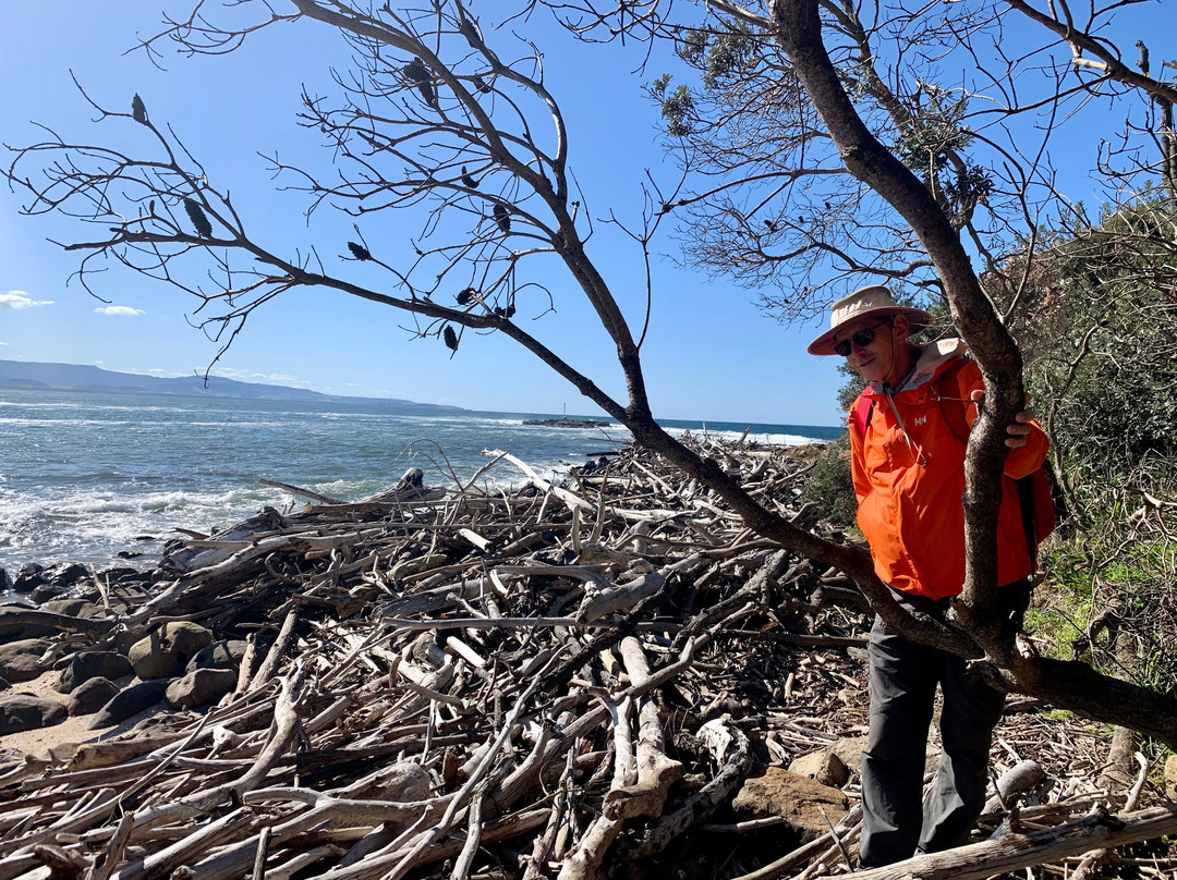 Abrahams Bosom Reserve-Currarong必去景点