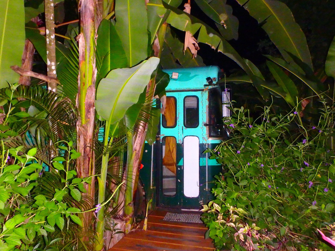 Tribe Boutique Hotel主图