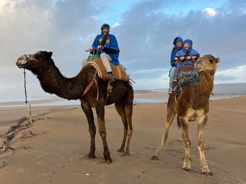 Palma Quad-索维拉必去景点