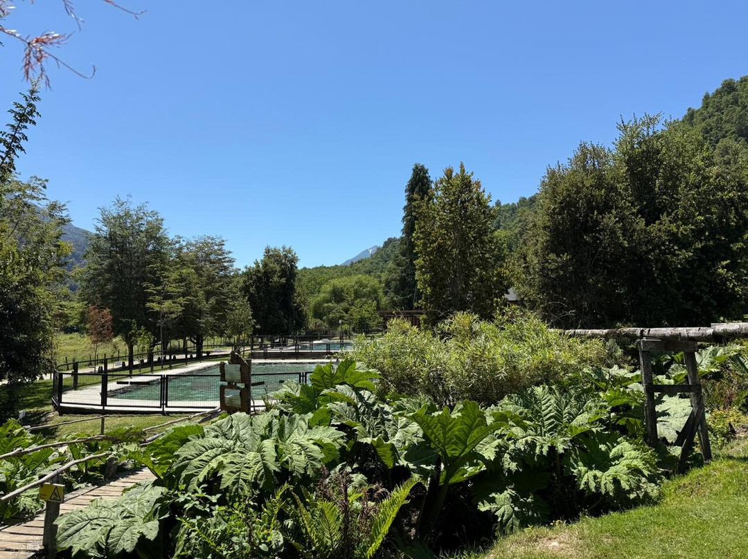 Futrono旅游景点-Termas Chihuio