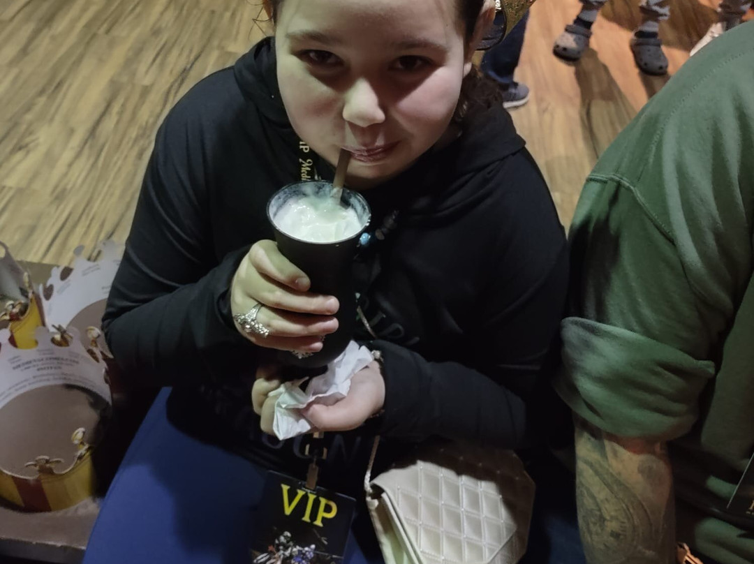 Medieval Times Maryland Castle-汉诺威必去景点