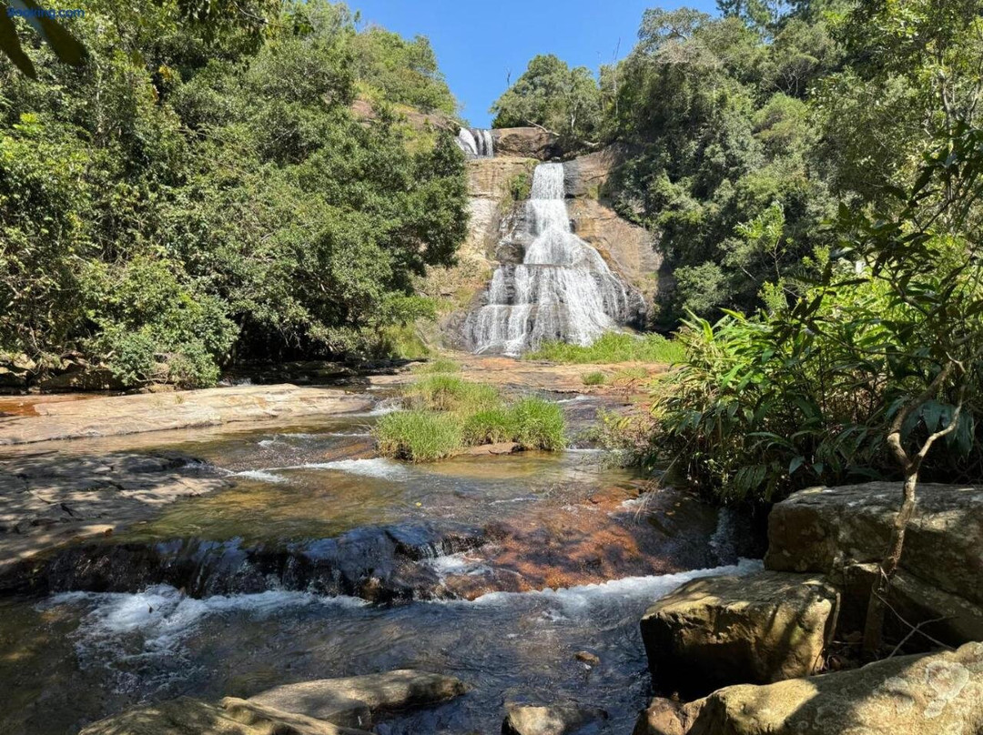 Thomasha Homestay主图