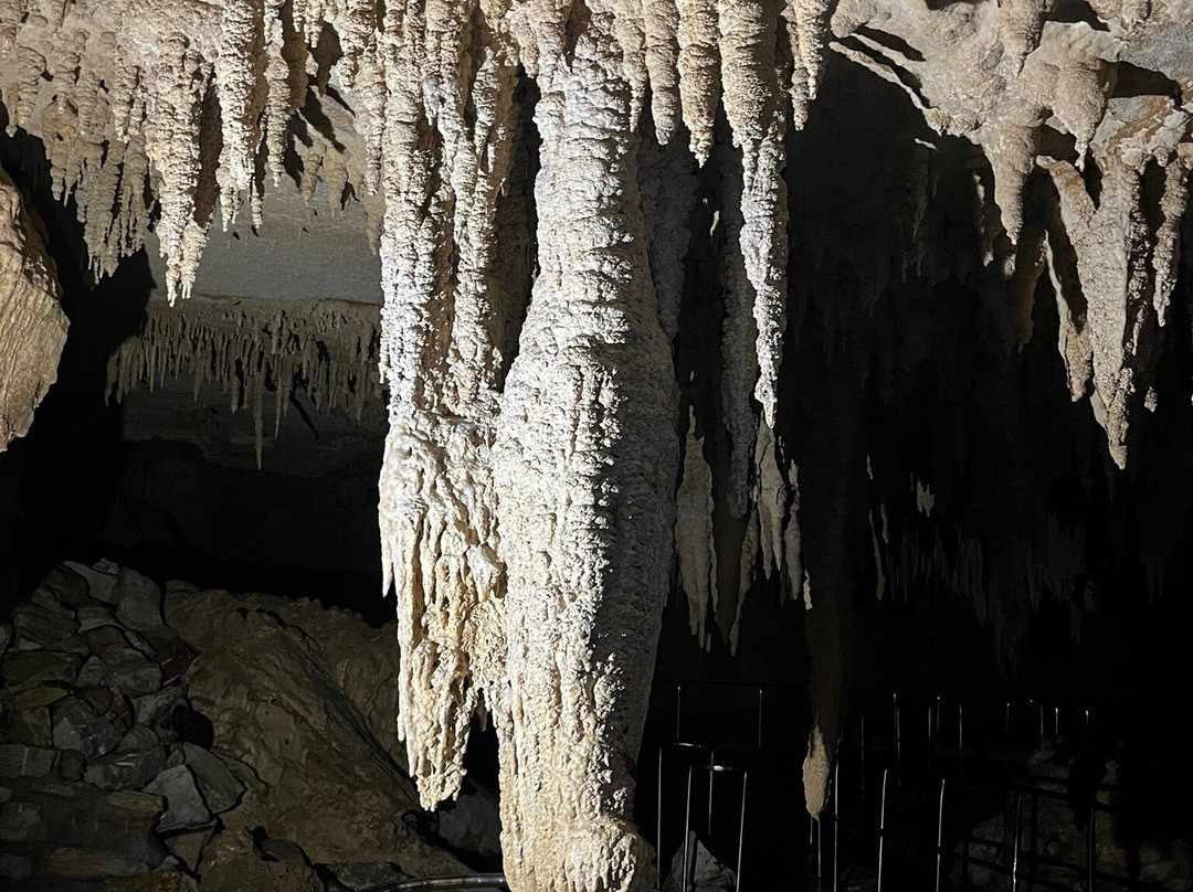 Milky Way Glowworm Cave - Waipu景点图片
