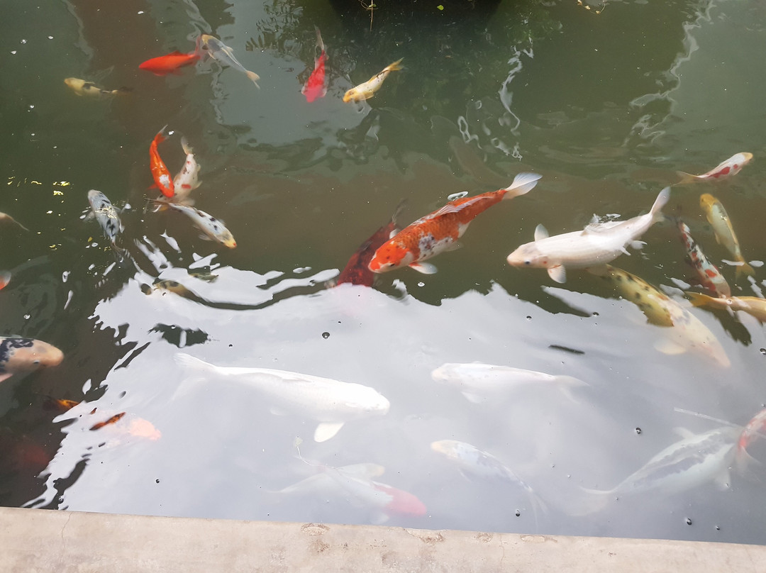 Kupferquelle Resort主图