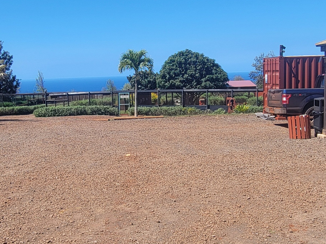 拉奈动物救援中心-拉奈市必去景点