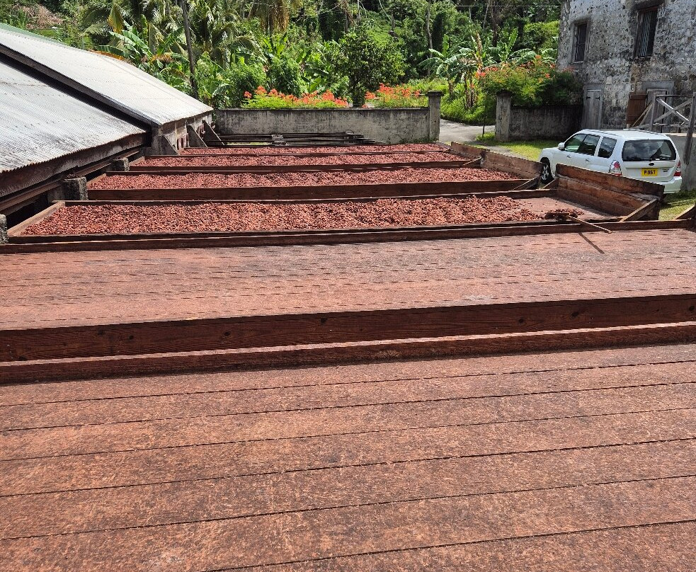 Jouvay Chocolate-Victoria必去景点