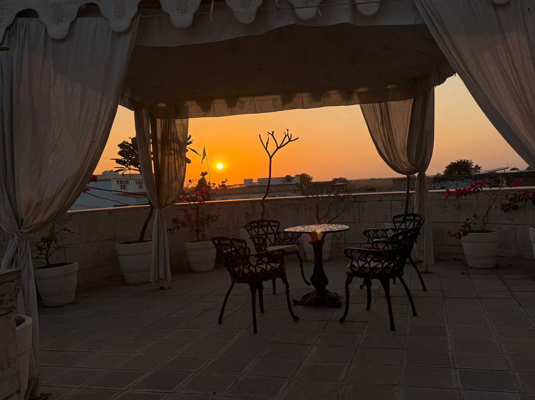 Tree Of Life Darbargadh Dared Gujarat主图