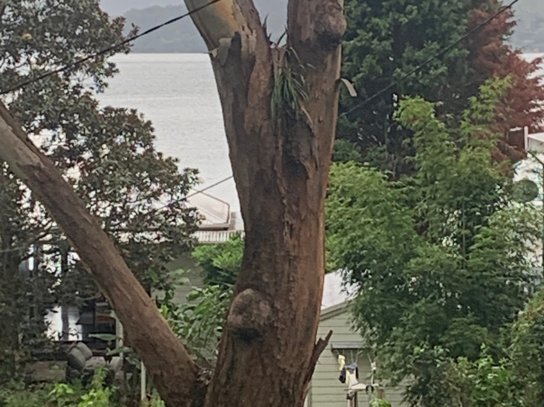 Dangar Island景点图片