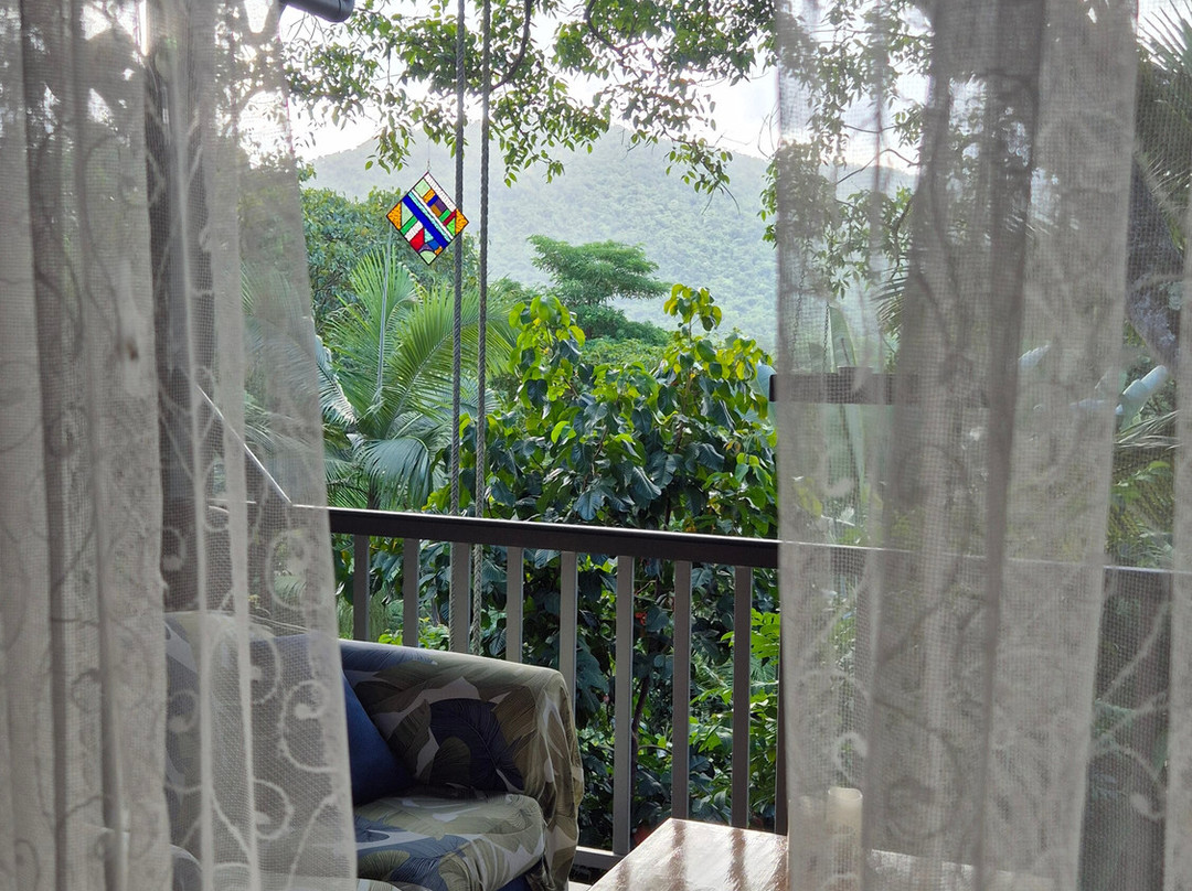 Mossman Gorge Bed and Breakfast主图