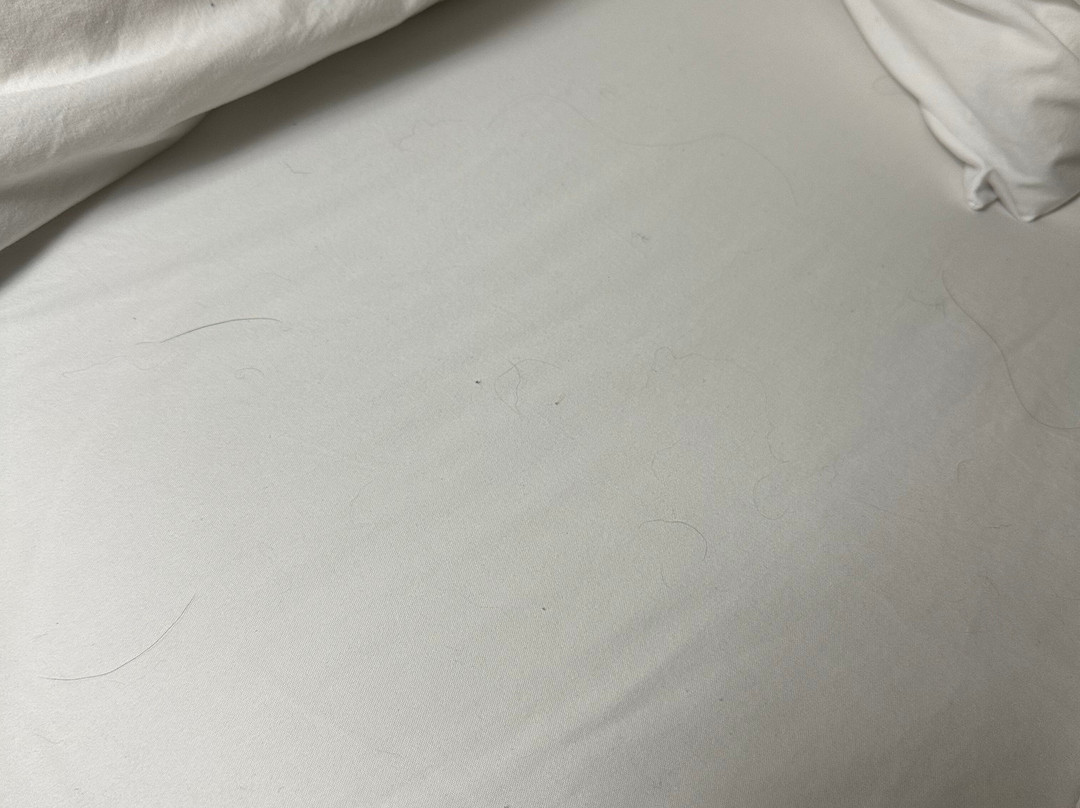 Barkers Island Inn主图