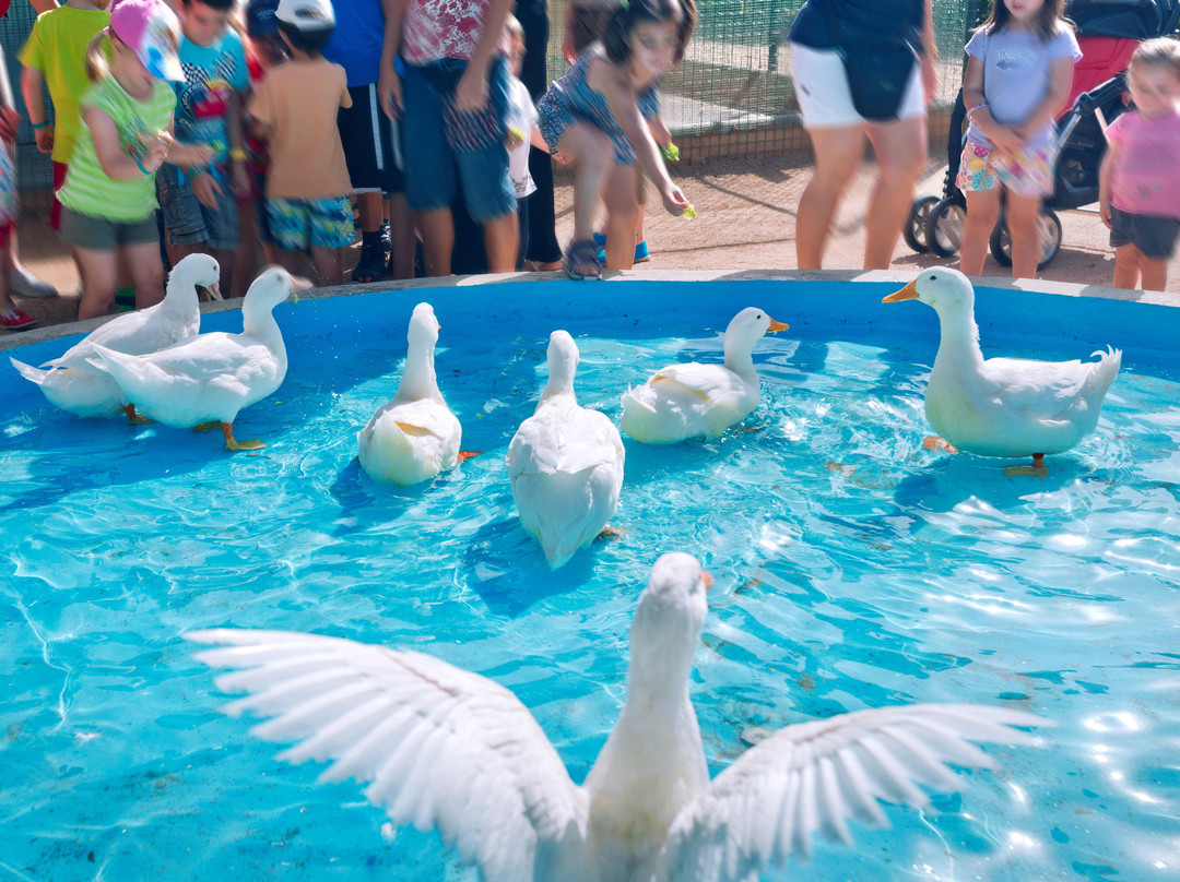 Vilar Rural de Sant Hilari Sacalm主图