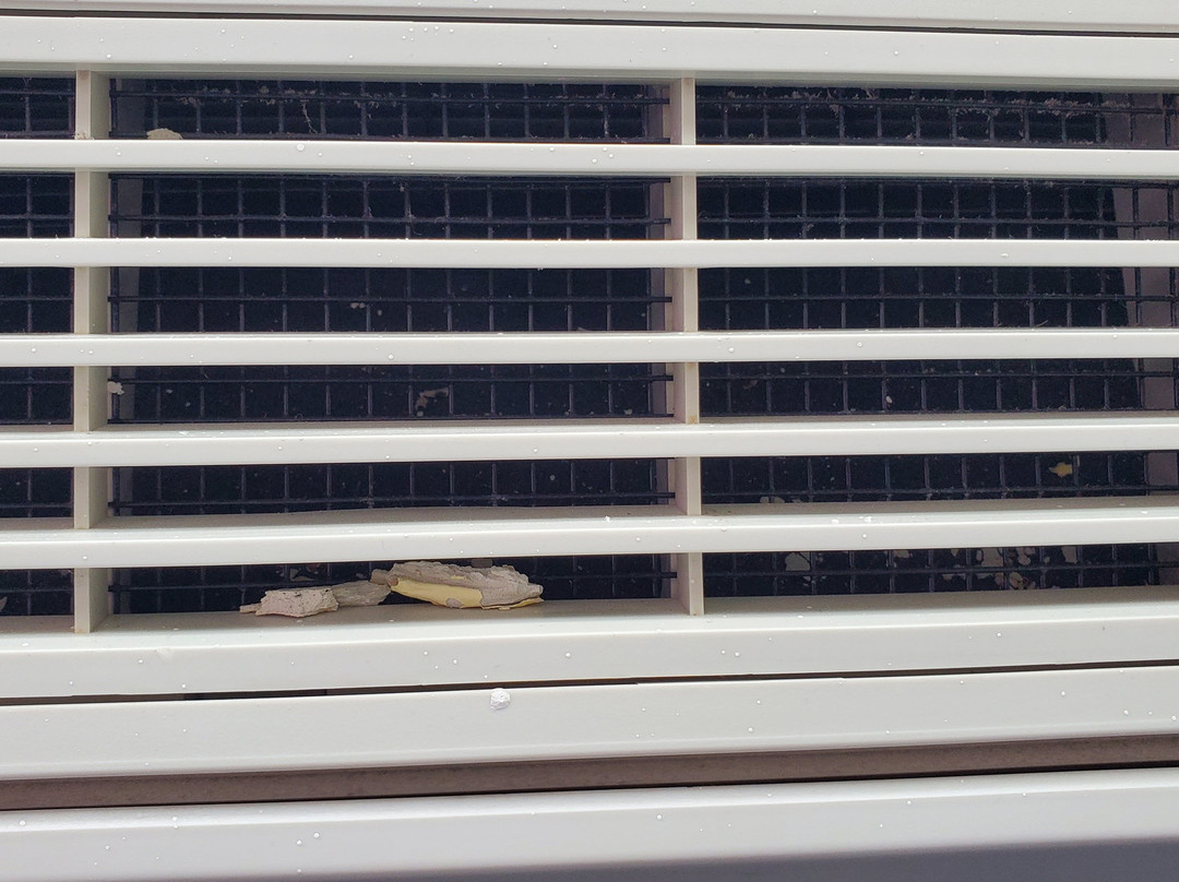 Fairfield by Marriott Inn & Suites Saginaw主图