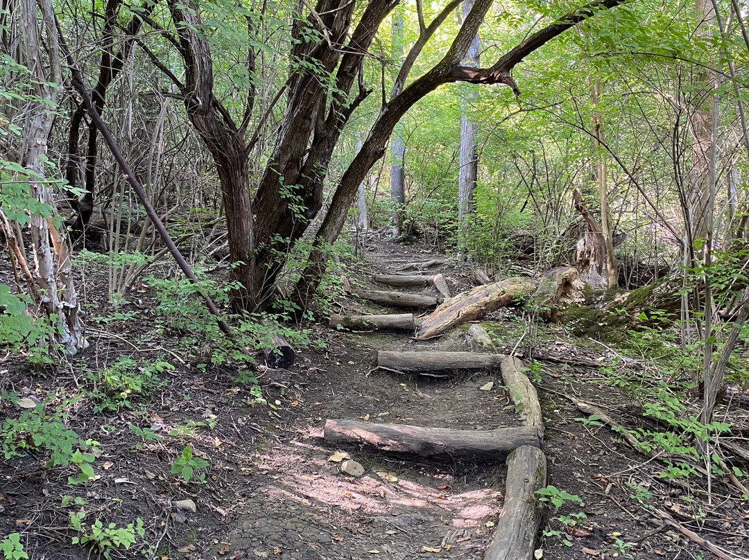 Ault Park-辛辛那提必去景点