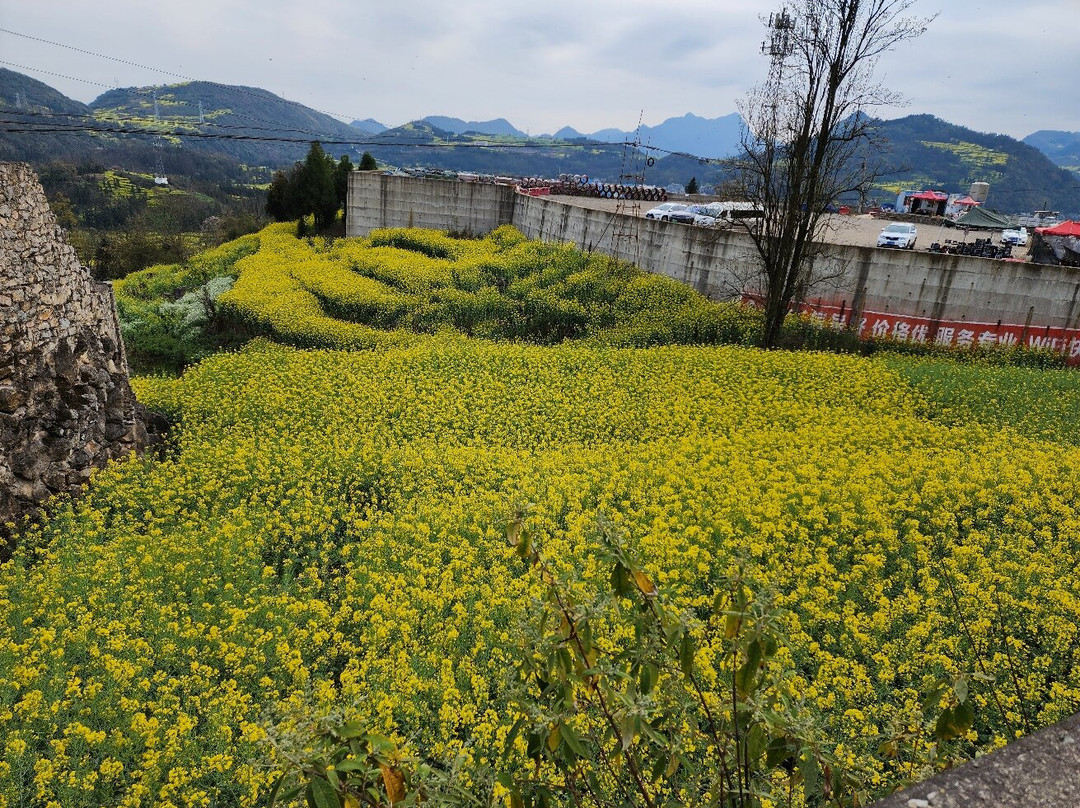 罗平螺丝田-罗平县必去景点