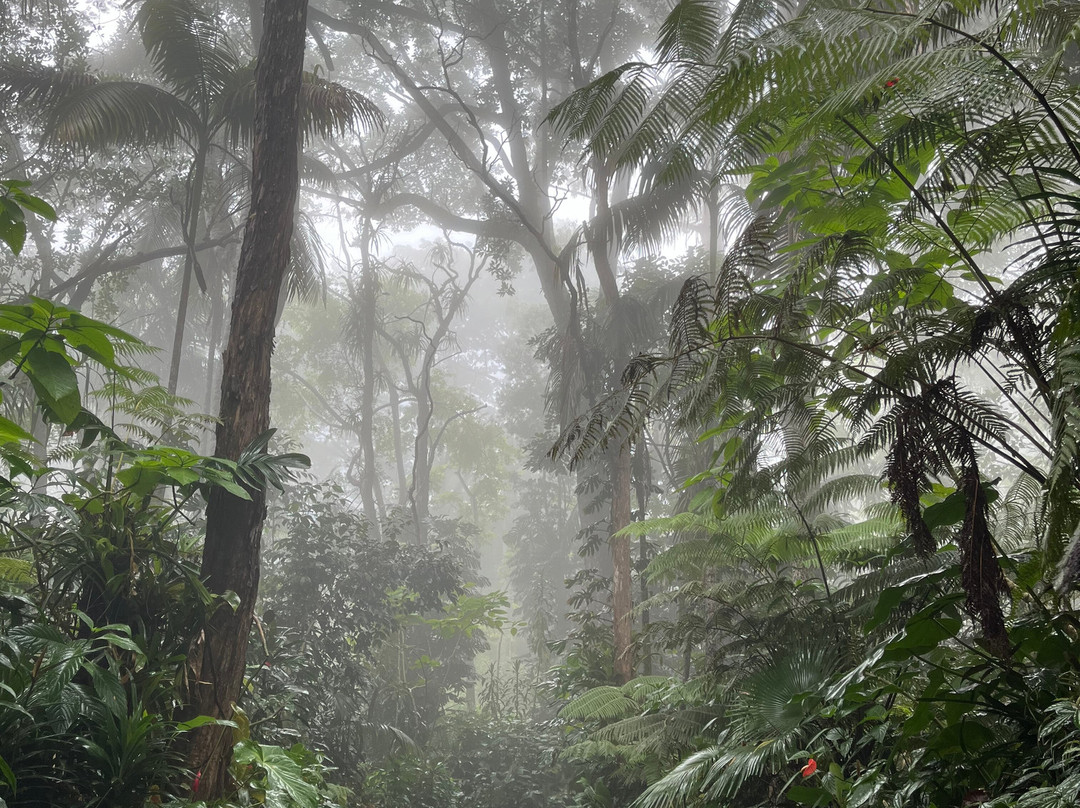 Exploring Within-凯鲁瓦-柯纳必去景点