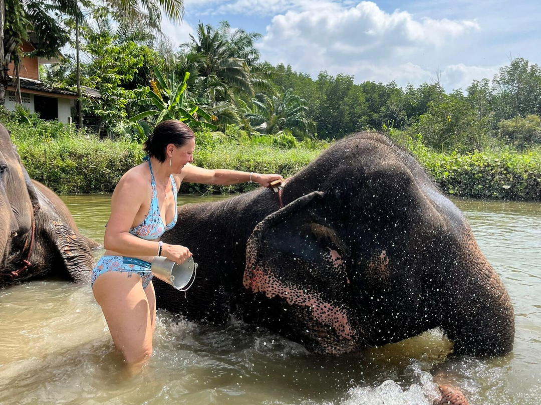Thai Town of Elephant  Krabi景点图片