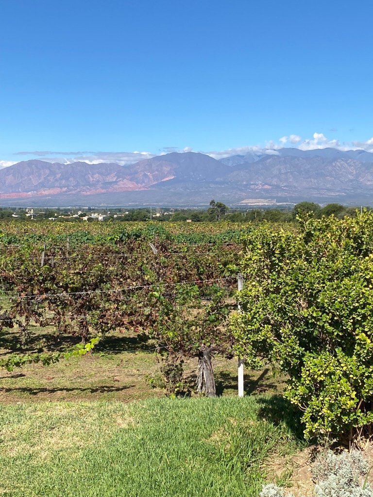 Vinas de Cafayate Wine Resort-官方