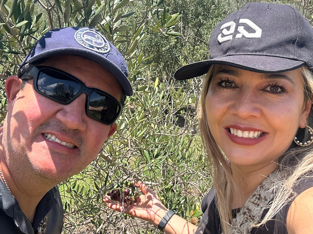 Huerto Olivanto-莱瓦镇必去景点