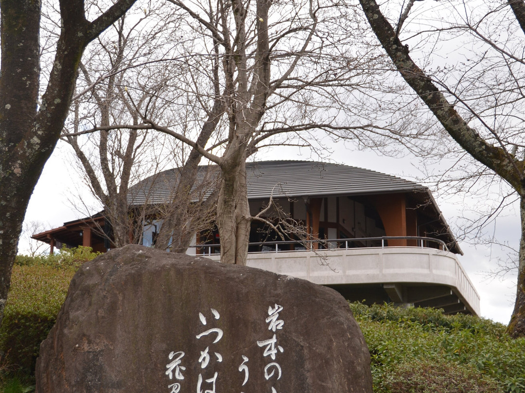 Iwamotoyama Park-富士市必去景点