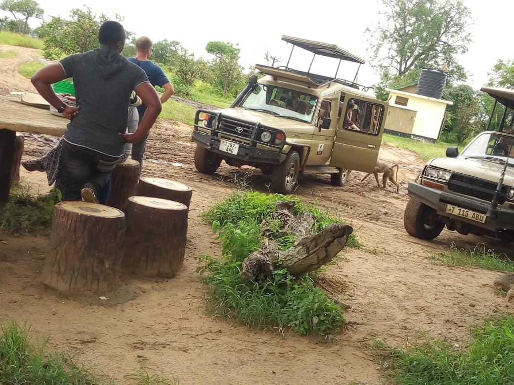Michomoz Bush Hideout